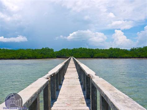 tourist spots in bais city|Discover Bais City – Negros Oriental's Hidden Gem.